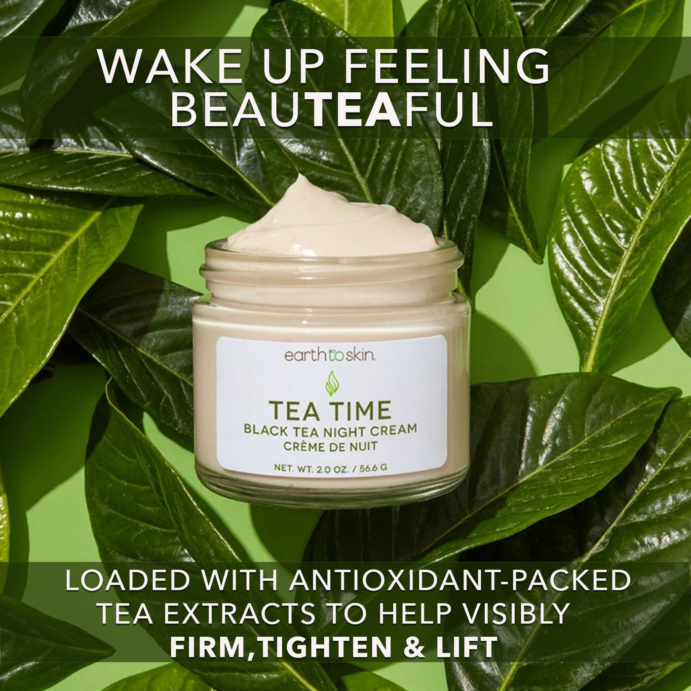 Tea Time Black Tea Night Cream