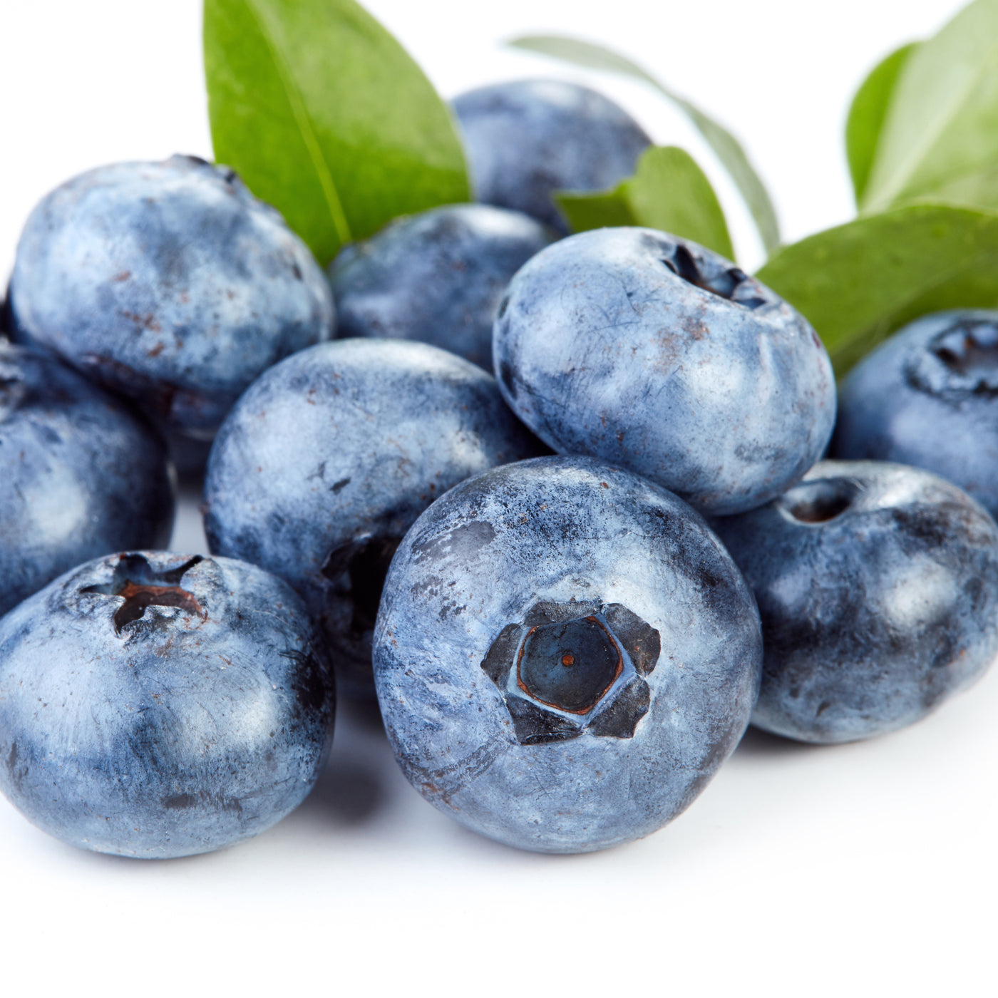 Super Fruits Blueberry Exfoliating Cleanser